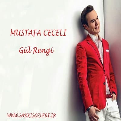 Mustafa Ceceli Gül Rengi